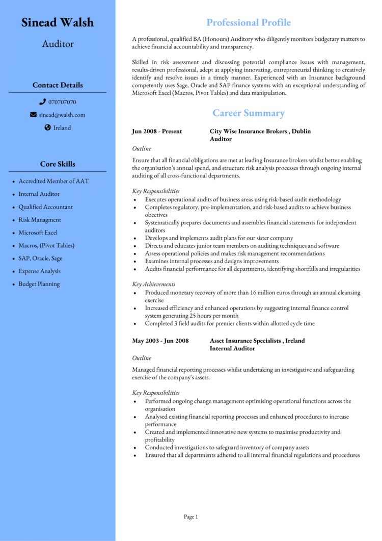 Auditor CV