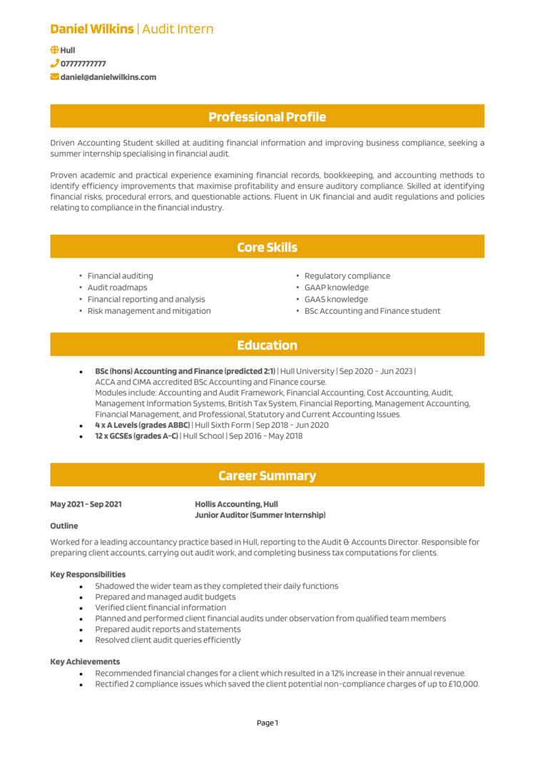 Audit Intern CV