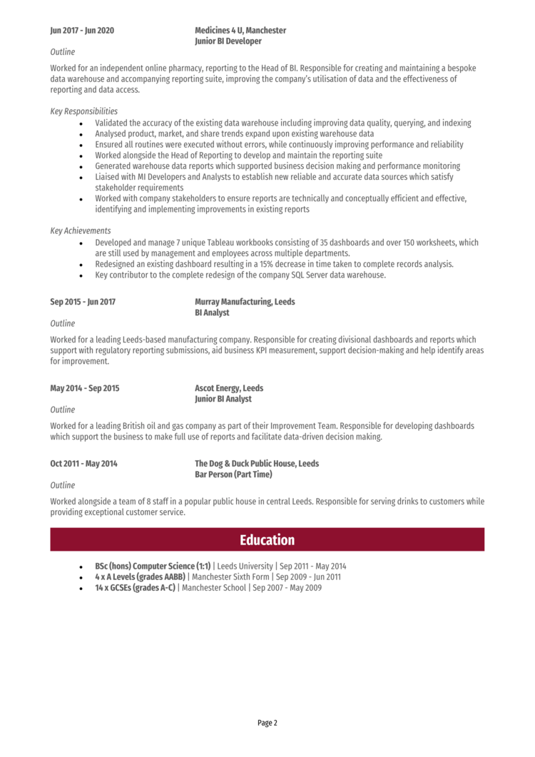 BI Developer CV-2