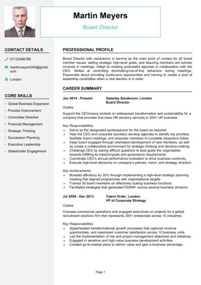 Board Director CV example