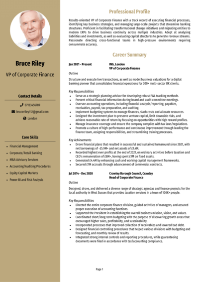 Corporate Finance CV example