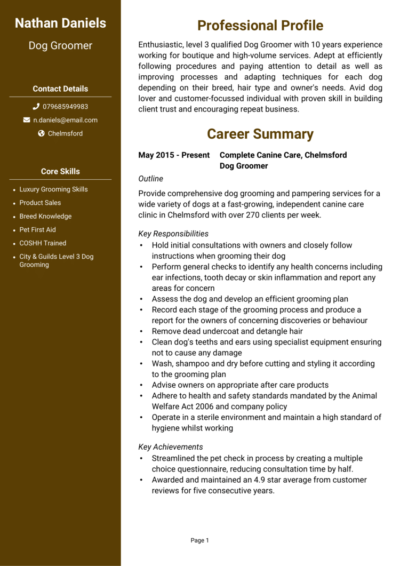 Dog Groomer CV example