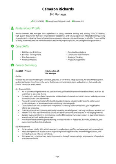 Bid Manager CV example