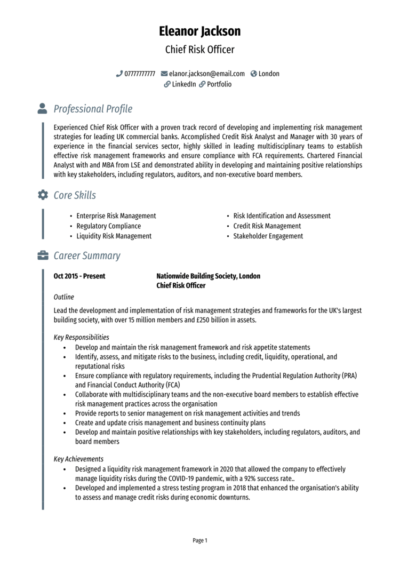 Chief Risk Officer CV example