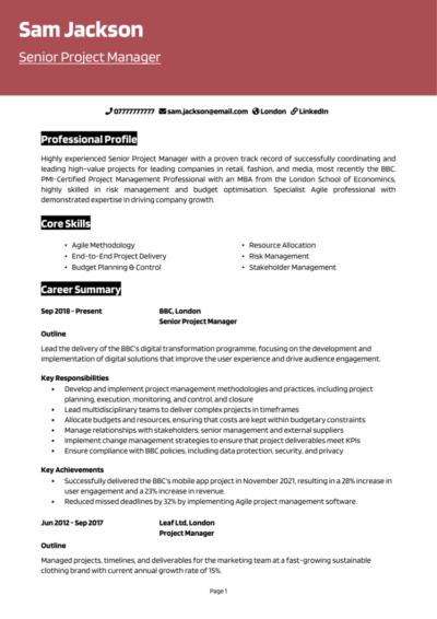 Private: Business Operations CV examples