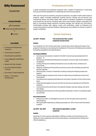 Carpenter CV examples