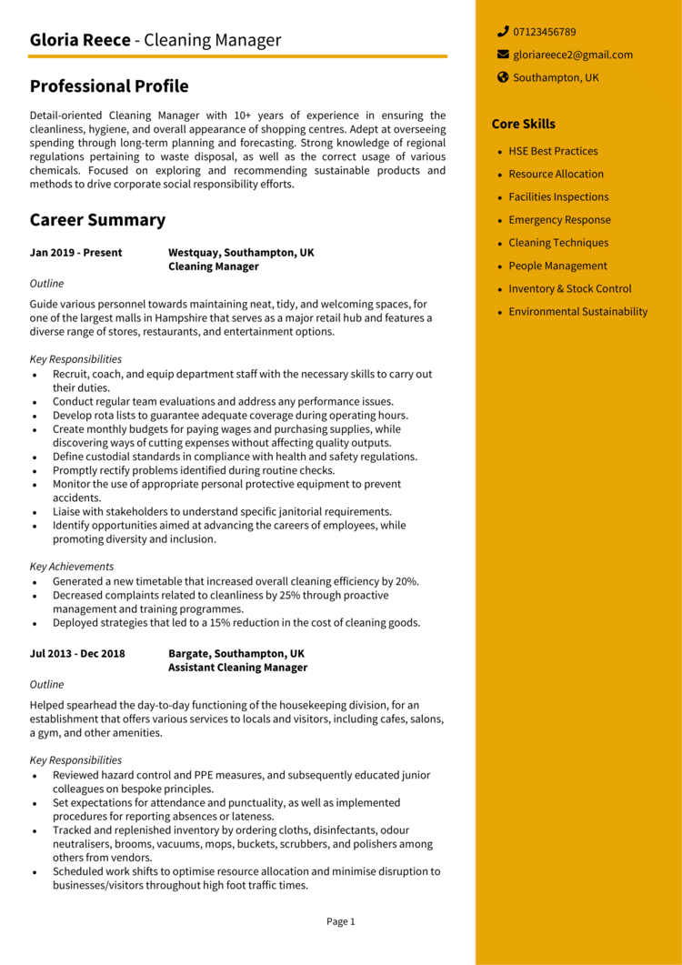 Cleaning Manager CV