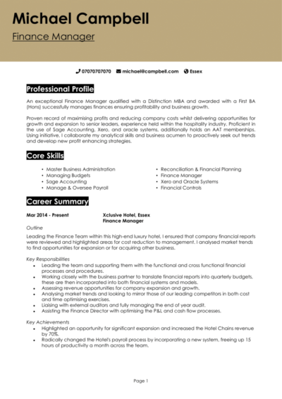 Finance manager CV examples