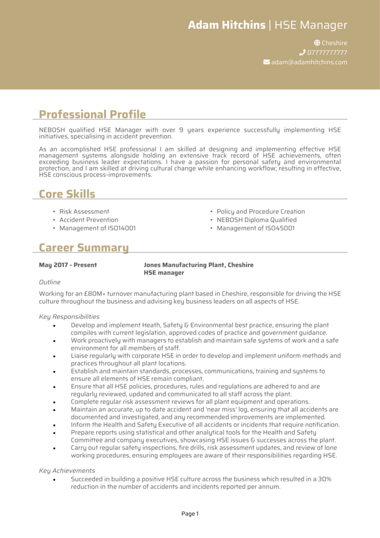 HSE Manager CV-1