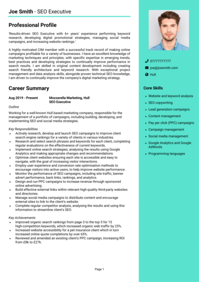 SEO Executive CV examples