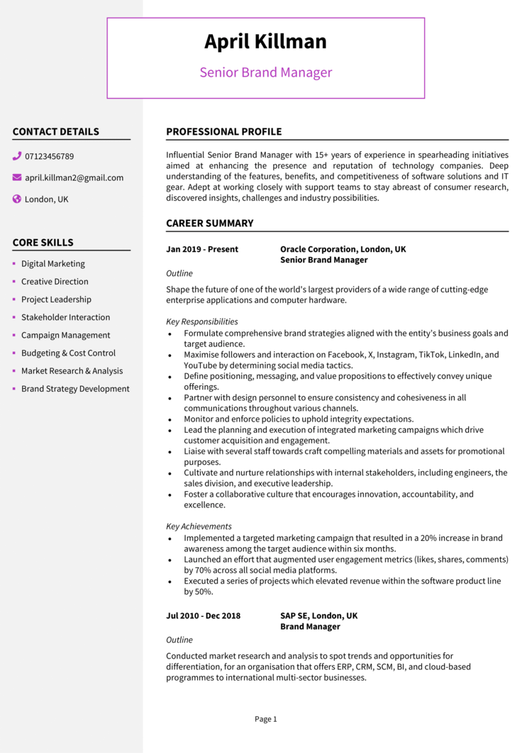 Senior Brand Manager CV