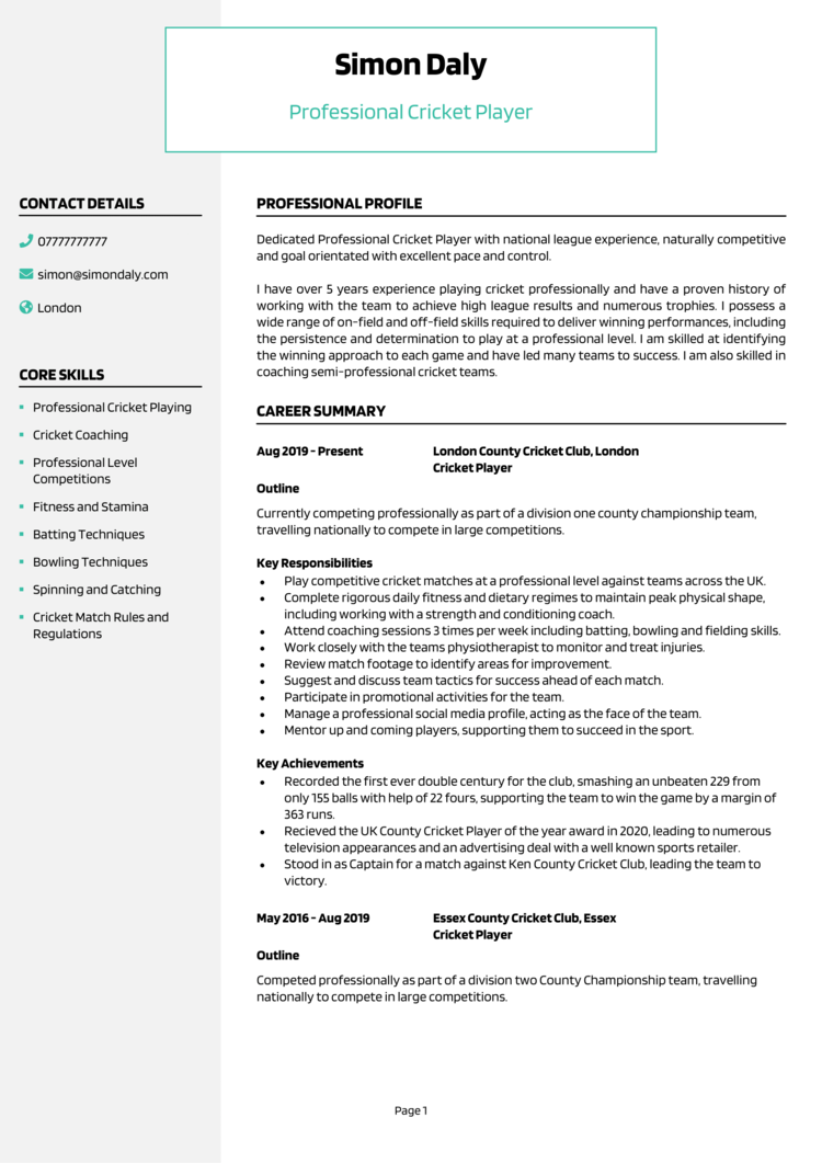 Professional Cricket CV