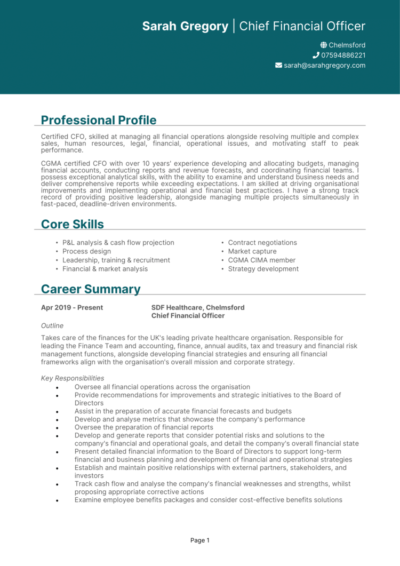 Chief Financial Officer (CFO) CV examples