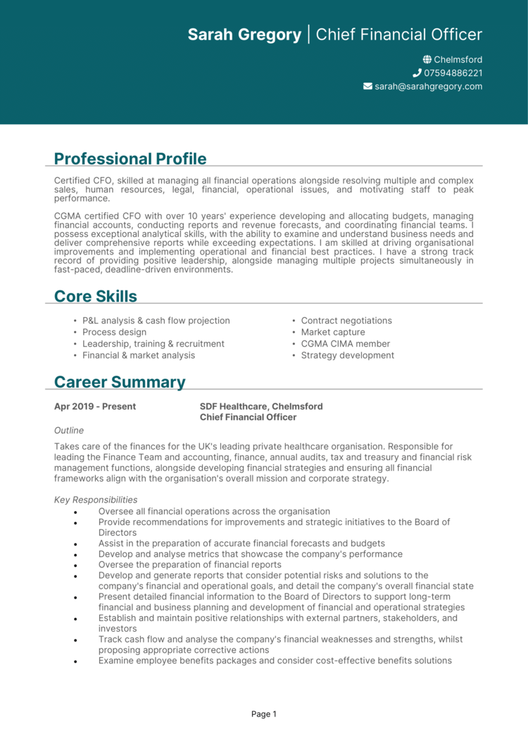 CFO Chief Financial Officer CV