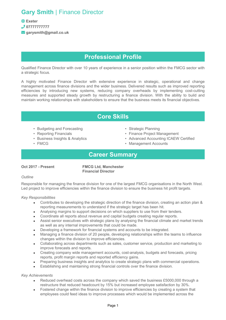 Finance Director CV