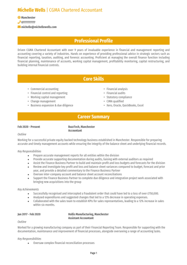 Chartered Accountant CV