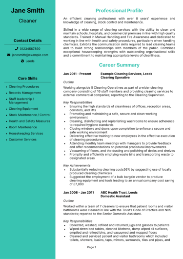 Cleaner CV