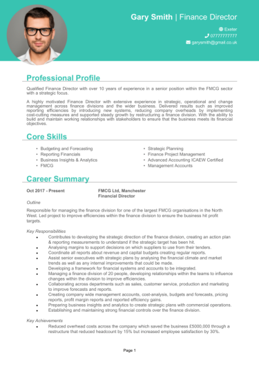 Finance CV
