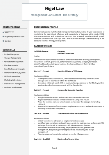 Management Consultant CV