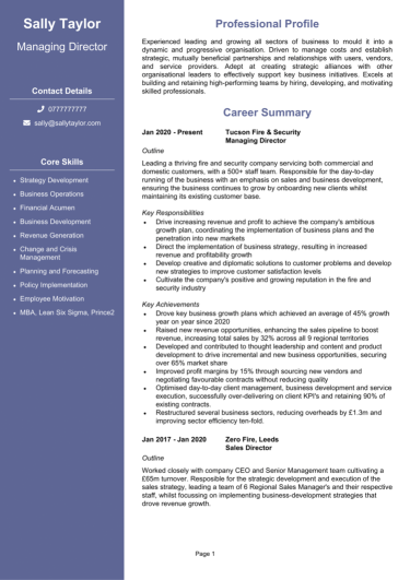 Managing Director CV